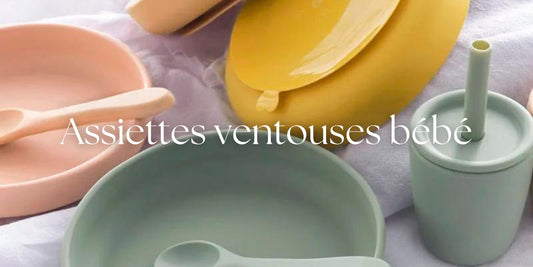 assiettes ventouse